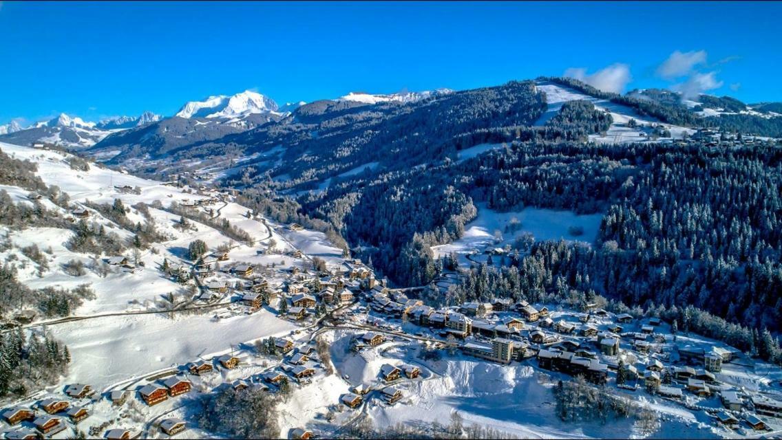 Les Portes Du Mont Blanc Apartment Флюме Екстериор снимка